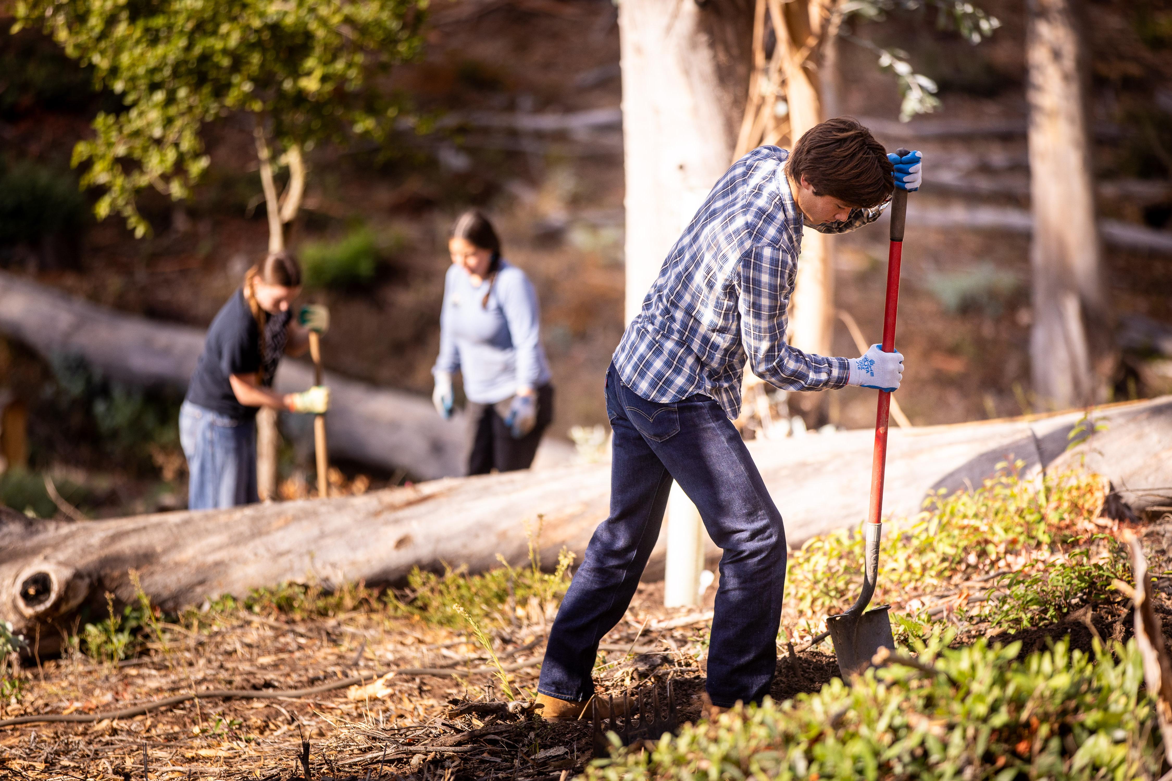 westmont student gardening